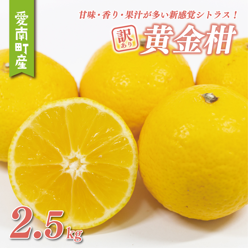 訳あり 黄金柑 2.5kg サイズミックス 6000円 みかん わけあり おうごん