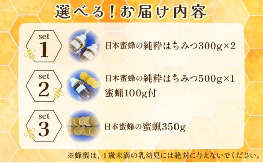 内容量が選べる】日本蜜蜂の純粋はちみつ 500g～600g または 日本蜜蜂