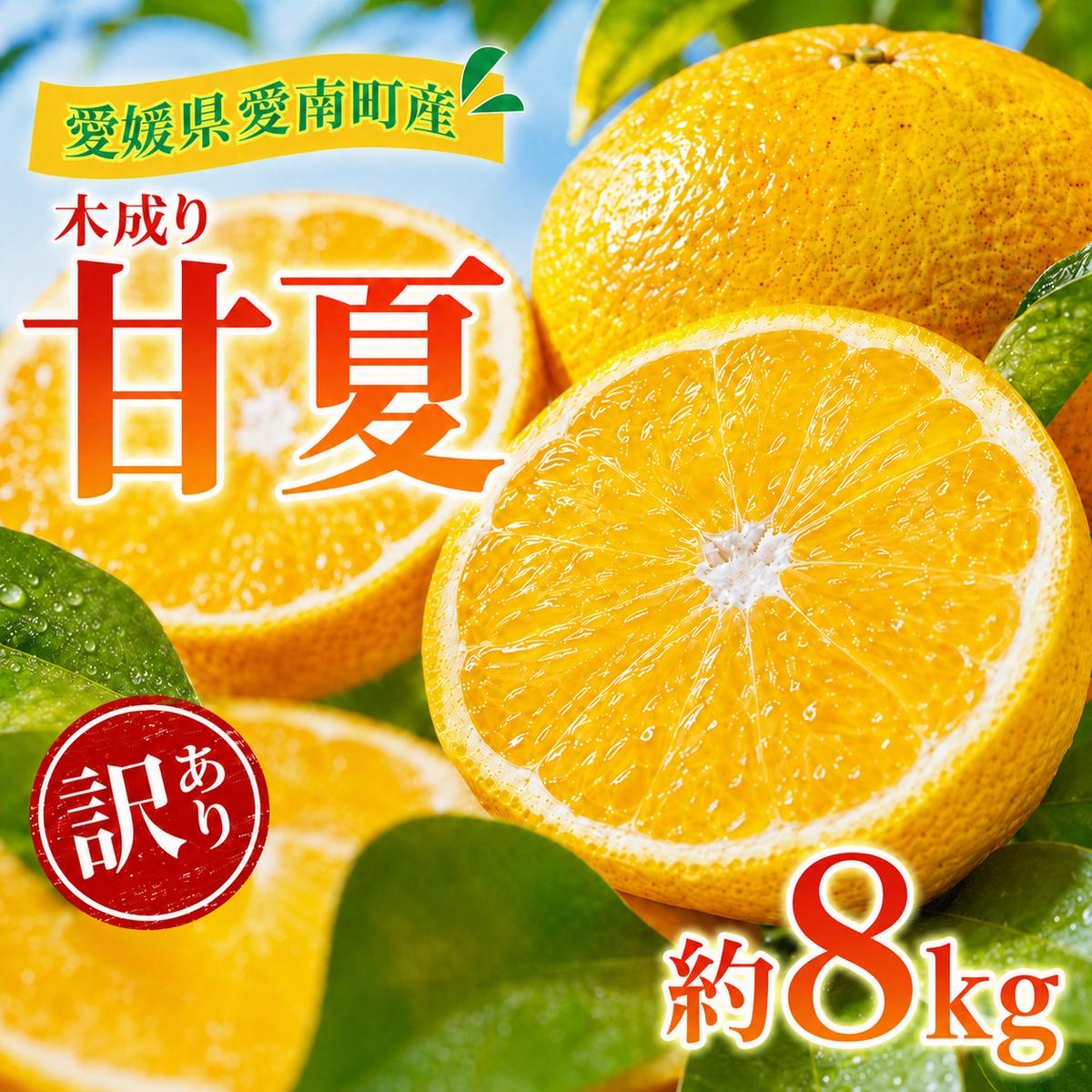 先行予約：2027年3月～発送】訳あり 甘夏 8kg +傷み補償分1割程度増量