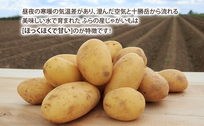 2026年秋冬発送】甘くてホクホク！ じゃがいも きたあかり 約5kg 野菜