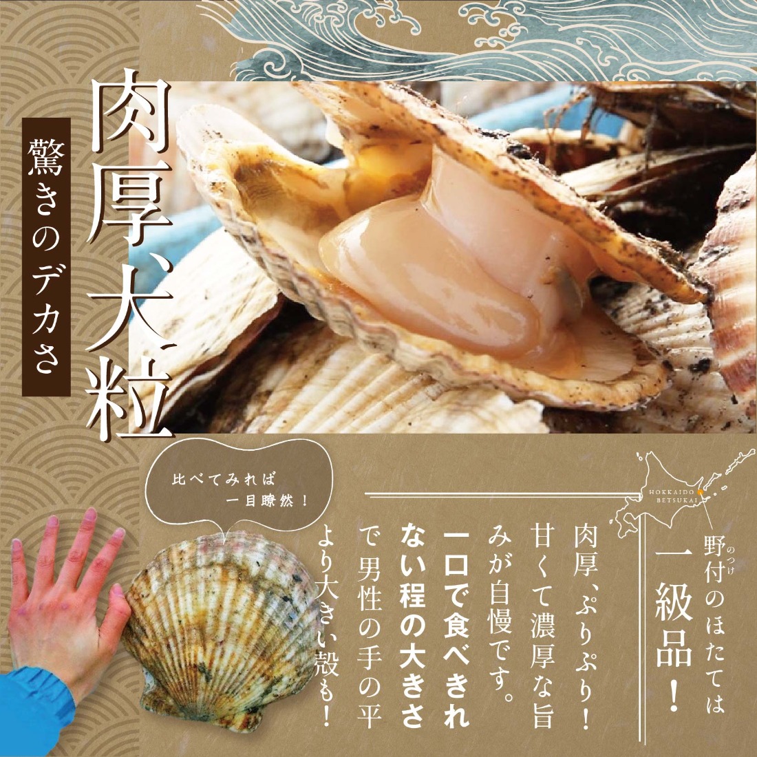 毎月10ヶ月定期便】北海道 野付産 冷凍 ホタテ 貝柱 ジャンボホタテ