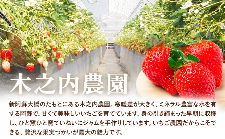 阿蘇果蜜ジャム4種セット 35g×4本 木之内農園 ジャム《30日以内に出荷