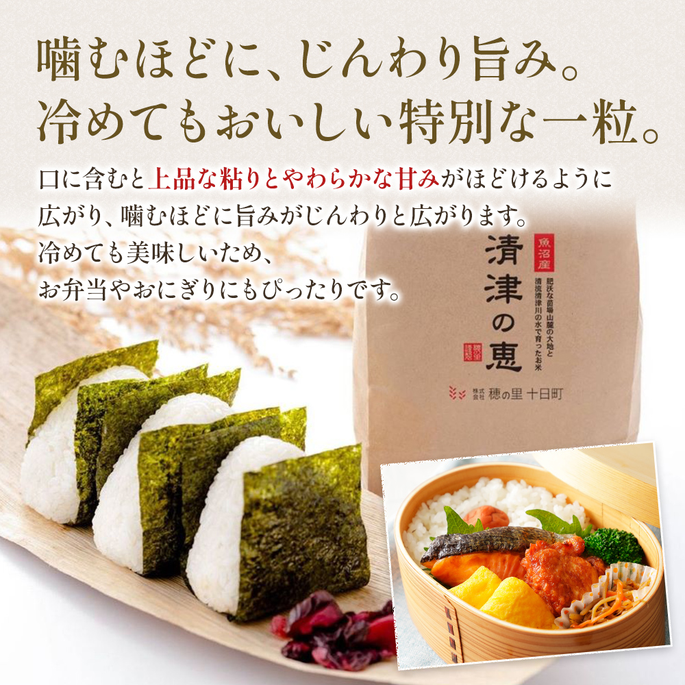 通年受付】令和7年産魚沼産特別栽培米コシヒカリ［清津の恵］精米10kg