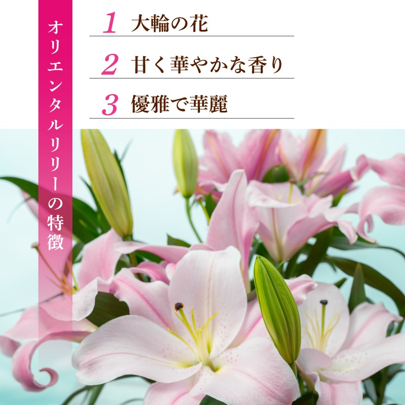 花束・切花 Riri 花束「デラックスリリー」｜フラワーギフト通販ならイイハナ・ドットコム