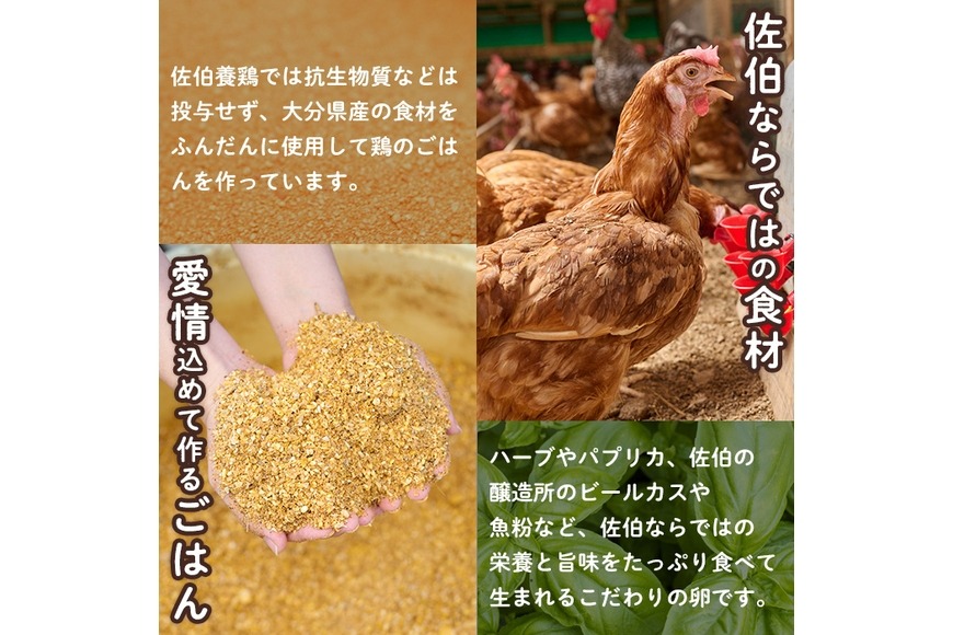 産直・平飼い有精卵 (計30個) 卵 玉子 卵かけご飯 玉子焼き 平飼い 鶏
