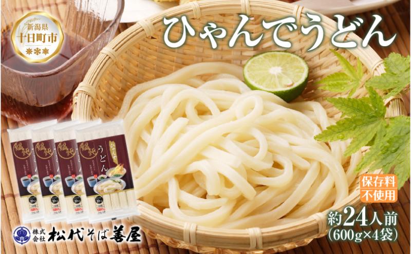 ひゃんで うどん 600g 4袋 24人前 饂飩 ウドン 干しうどん ざるうどん
