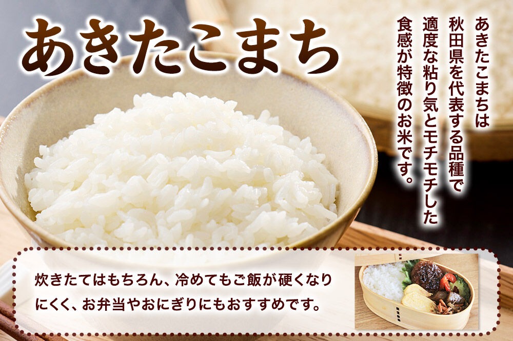 定期便4ヶ月】 あきたこまち ＜令和8年産 新米受付＞ 白米 10kg（5kg×2
