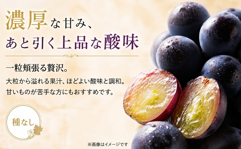 山梨県産 種なしピオーネ 濃厚な甘みとほどよい酸味
