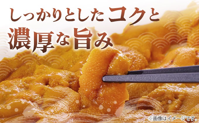 先行予約＞ 北海道産 ムラサキウニ（正規品）300g【ogm-032】生うに