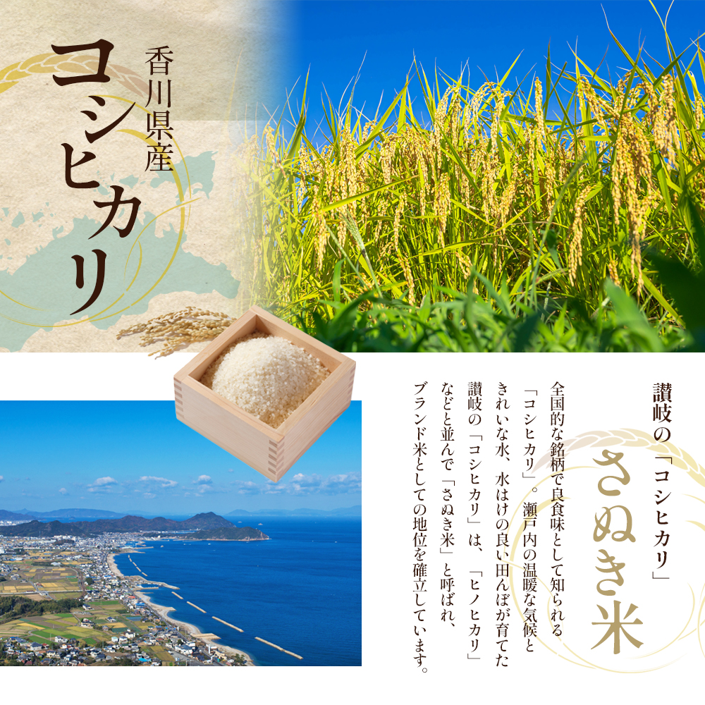 令和8年産 新米「コシヒカリ」30kg（玄米）お米 30kg （香川県東かがわ