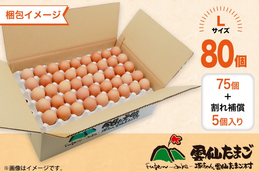 BI037 3回 定期便 たっぷり！ 雲仙たまごLサイズ 80個 (75個＋割れ補償