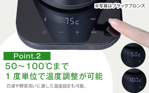 温度調節機能付き電気ケトル（1200W/0.8L） EGL-C1281【ブラック