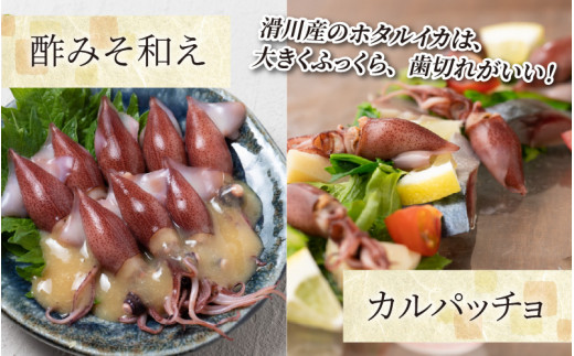 先行予約】ほたるいか ボイル＆刺身セット【27年3月中旬以降順次発送