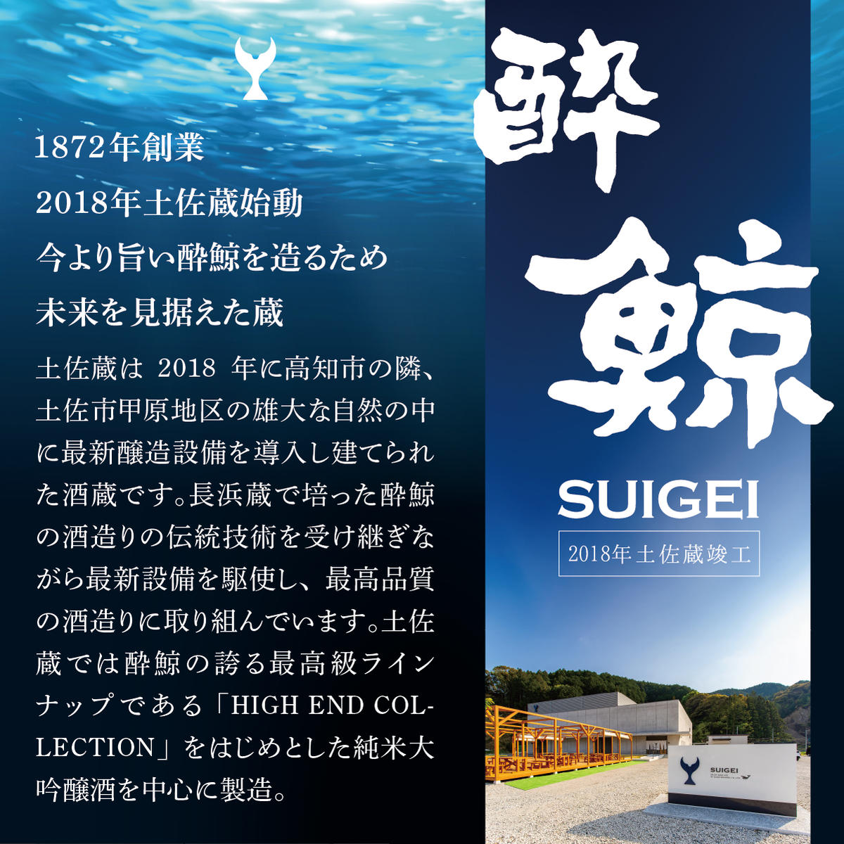 数量限定】酔鯨 純米大吟醸 DAITO 2025 720ml×1本 酔鯨 純米大吟醸