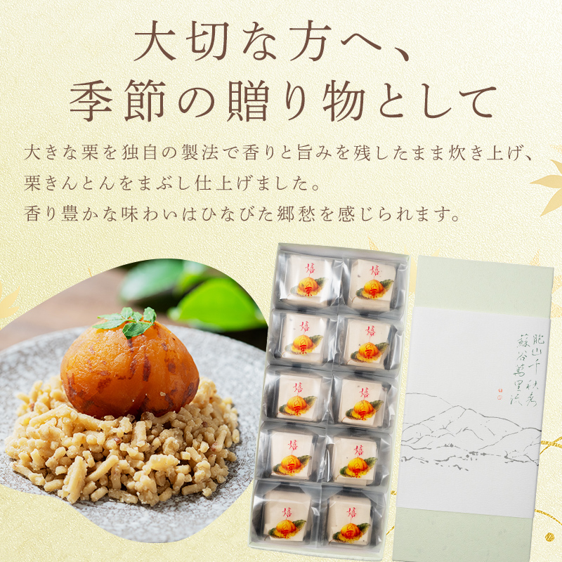 御菓子所 川上屋 栗菓子 嬉しの栗10個入 F4N-1896（岐阜県中津川市