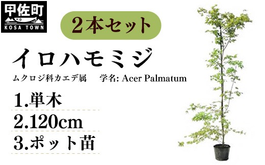 9f7d940b-db41-4f7e-a3a9-