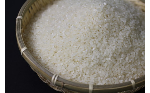 令和7年産 近江米 キヌヒカリ【10kg（5kg×2袋）】環境こだわり米 