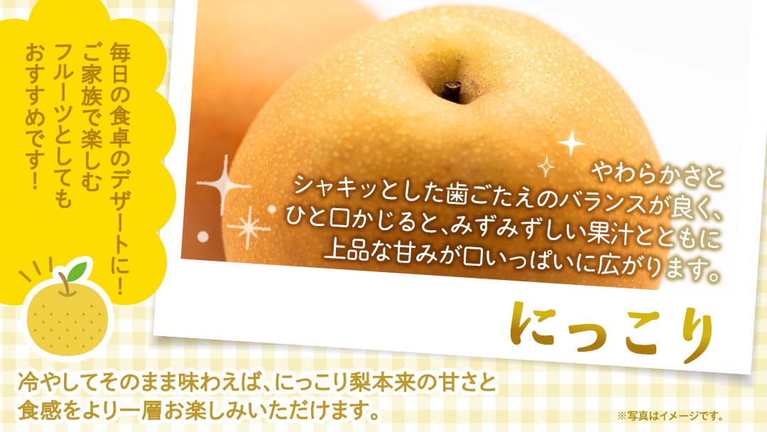 訳あり ＞ にっこり 約5kg 【2026年10月より発送開始】（茨城県共通返