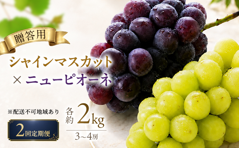 2回定期便 贈答用 シャインマスカット約2kg(3-4房)×ニューピオーネ約