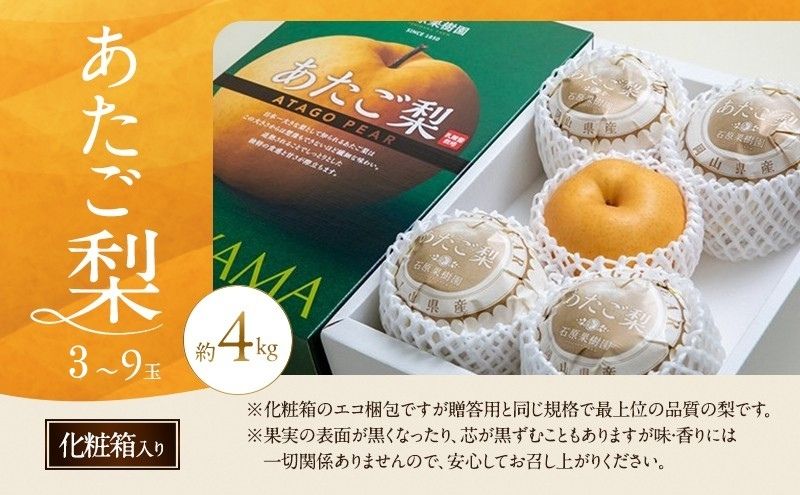 梨 2026年 先行予約 あたご梨 3～9玉 合計約4kg 化粧箱【11月下旬～12