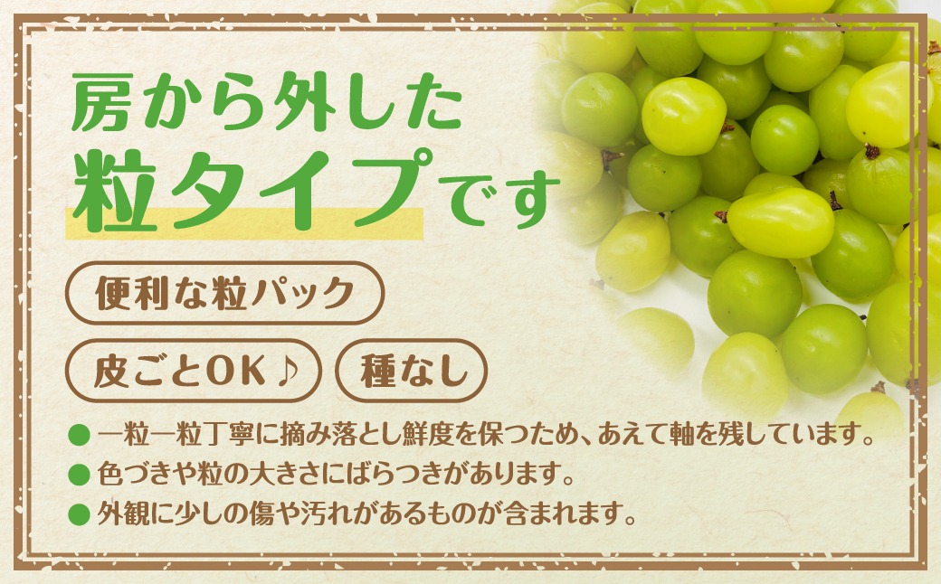 先行予約】 ぶどう食べ比べパック 約300g×4パック (訳あり粒タイプ