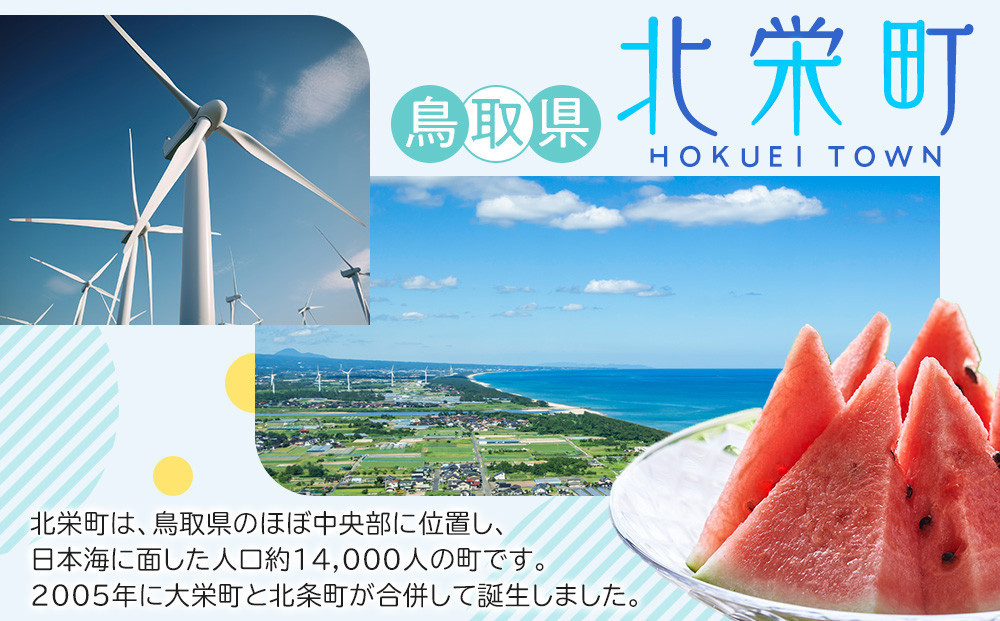 1057.＜2026年11月5日～30日発送＞特撰 松葉がに（なま）【訳あり