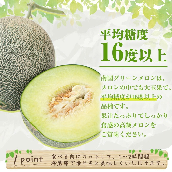 数量限定！鹿児島県産南国グリーンメロン(4玉・計6kg) 数量限定 メロン