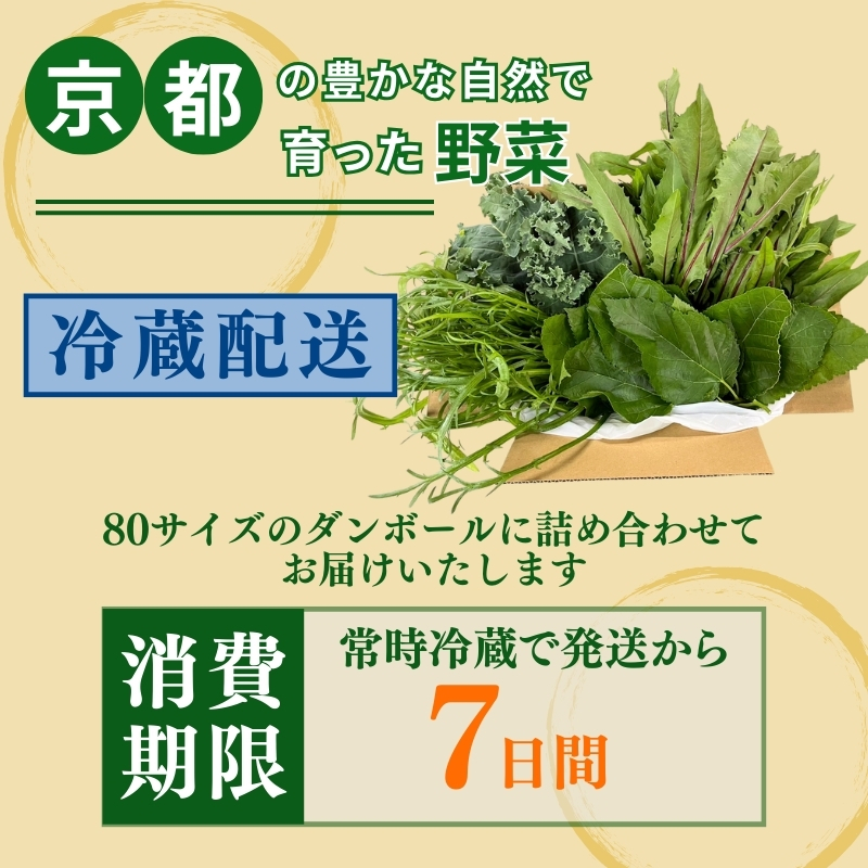 爬虫類用】訳あり野菜と季節の葉っぱ詰め合わせ【60サイズ】（京都府南