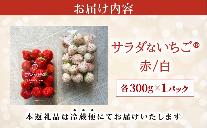 2026年先行予約＞ サラダないちご（赤・白）【ecg-003】（北海道伊達市