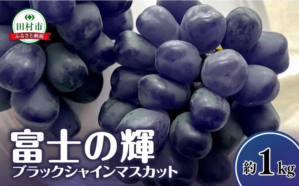 先行予約】富士の輝 約1kg 冷蔵 種無し 種なし 家庭用 シャイン