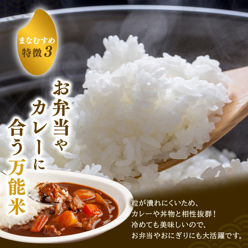 まなむすめ 定期便6回/5kg×1袋 令和8年産 新米先行予約 宮城県産 米