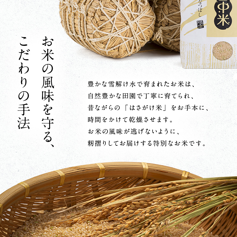 令和8年産 特Aランク米 ななつぼし 玄米 20kg（10kg×2袋）【5月発送