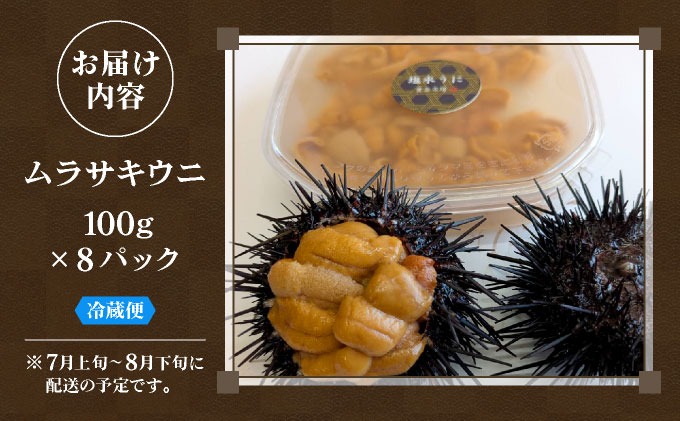 先行予約＞ 北海道産 ムラサキウニ（正規品）800g【ogm-037】生うに