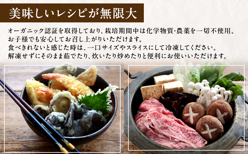 産地直送 】 有機JAS 生しいたけ 定期便 1kg×3ヶ月 オーガニック