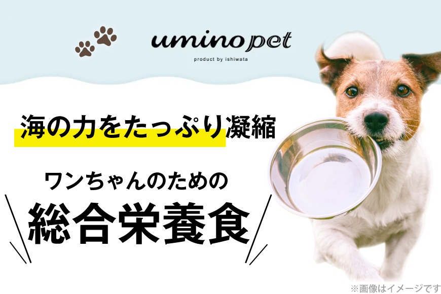 ドッグフード UMINO PET 総合栄養食 800g 1袋 [石渡商店 宮城県 気仙沼