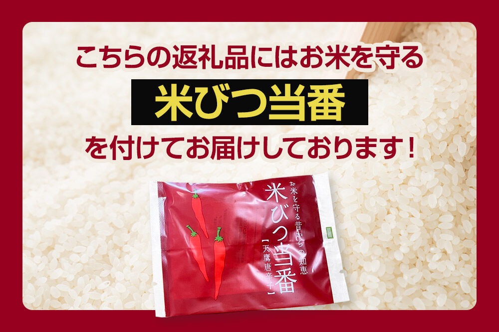 年間契約様、受付中！令和5年度新米あきたこまち精米24kg 令和8年産新米受付》 あきたこまち 精米 5kg（5kg×1袋） 吉元耕業 秋田