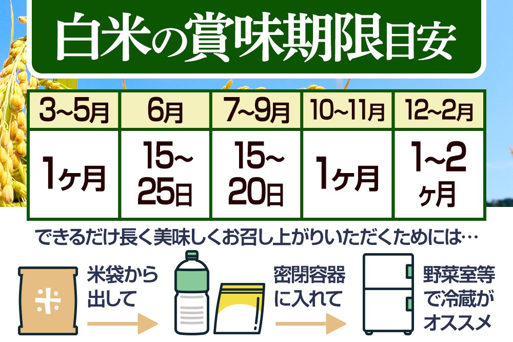 【期間限定】激安セール 5月末締め切り 無洗米】＜令和7年産 新米予約＞《定期便8ヶ月》秋田県産