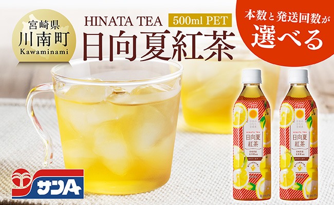 ジュース ※本数と回数が選べる※ サンA日向夏紅茶HINATA TEA500mlPET