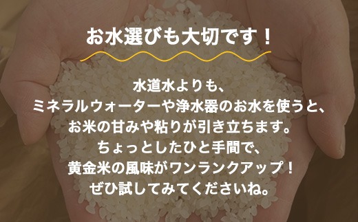 R8年米 大江の黄金米 コシヒカリ20kg（5kg×4） ｜ 射水市 西尾農業