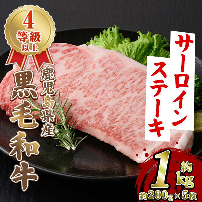 鹿児島県産 黒毛和牛 4等級以上 サーロイン ステーキ (約1kg・約200g×5