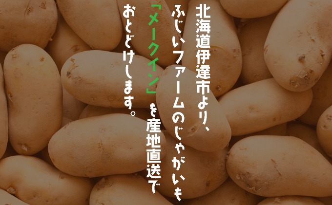 山形県最上町産・ジャガイモ、メークイン10kg！NO2 先行予約＞北海道産 じゃがいも(メークイン) 約10kg | ジャガイモ