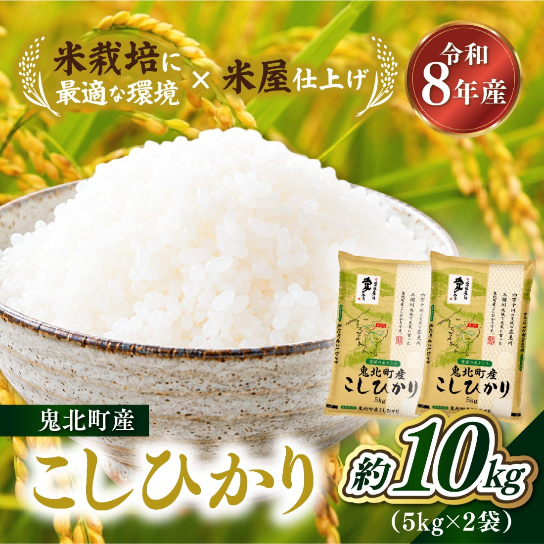 先行予約】【令和8年産】鬼北町産 こしひかり 10kg（5kg×2袋） 【米屋