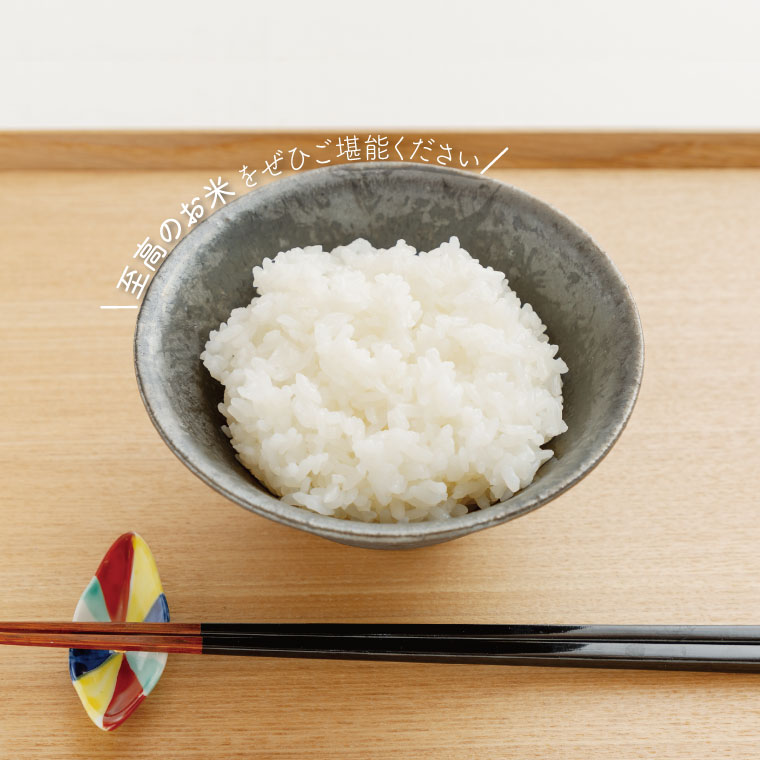 数量限定】【9月下旬より順次発送】R8年産 コシヒカリ 10kg(5kg×2袋