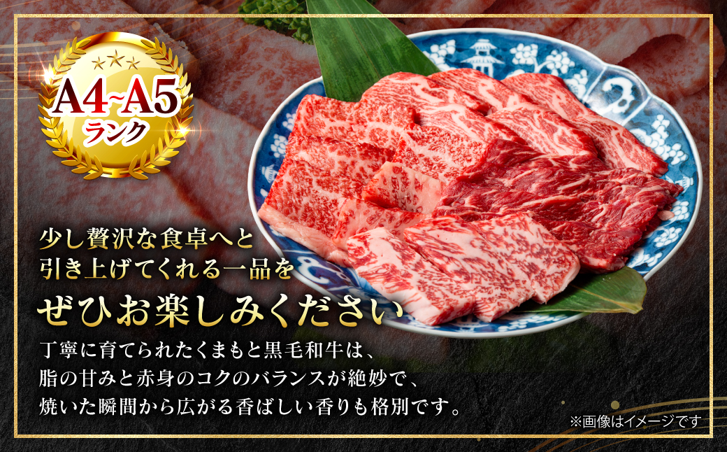 A4～A5ランク】 くまもと黒毛和牛 焼肉用 1kg （500g×2パック） 和牛