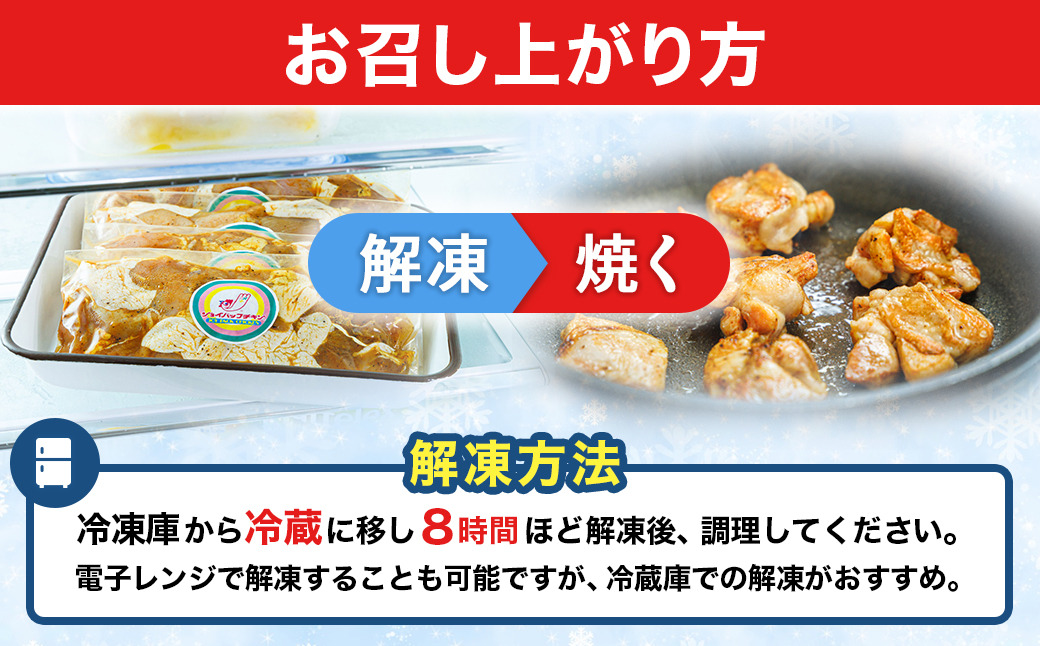 一子相伝のスパイス使用 スパイシーチキン カレー味 250g×2パック 計