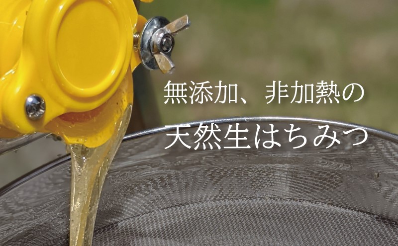 合計1800g 天然蜂蜜 国産蜂蜜 非加熱 生はちみつ 岐阜県 美濃市産 味