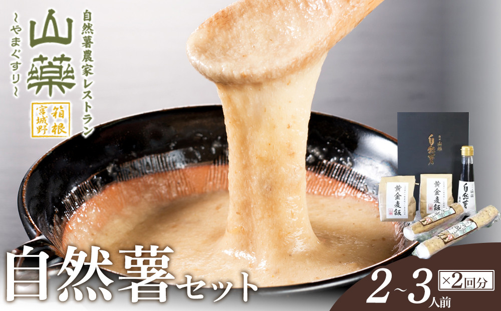 お店の味をご家庭で。【箱根自然薯の森 山薬】自然薯セット(2～3人前×2