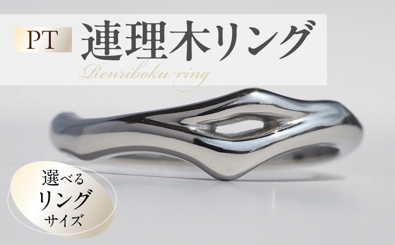 PT連理木リング〈2.5mm-5.5mm幅〉 ［016K33-sku］ PT900 連理木 リング