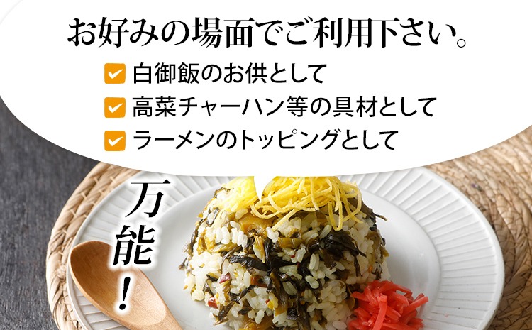 辛子高菜 240g×2パック（480g） 山賊の高菜 からし高菜 メール便