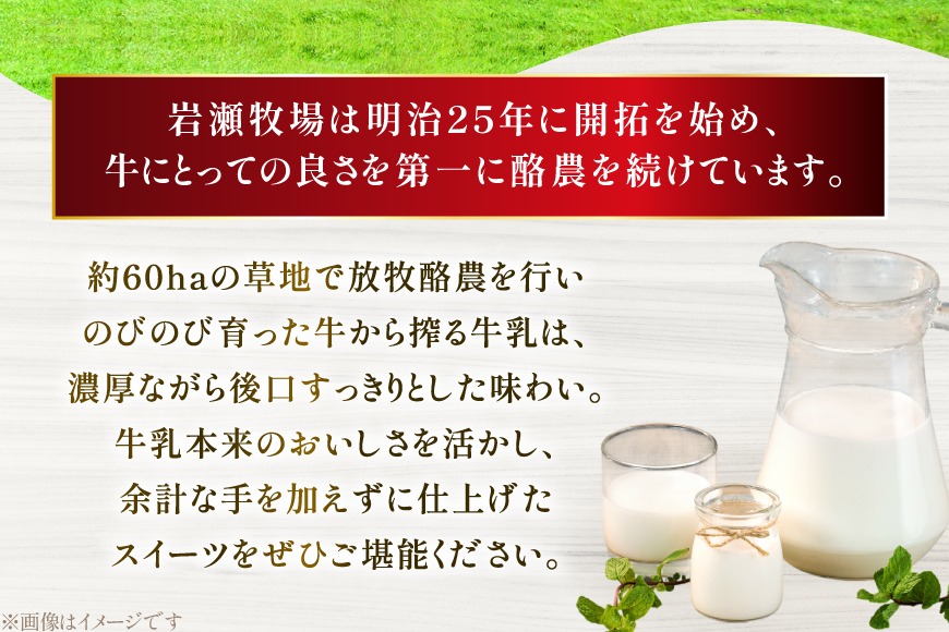 テレビで紹介！ アイス ジェラート 抹茶 1L ファミリーサイズ ジャンボ
